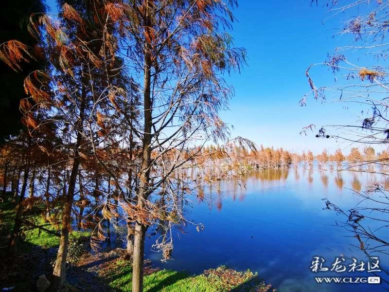 黄忠不惧关羽，为何独独害怕张任？张飞心知肚明，刘备看破不说破